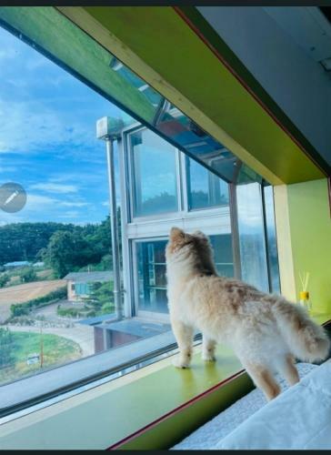 Sky Garden House