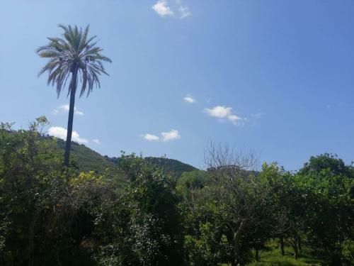B&B L'oasi