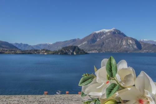 Apartamento Angolo Con Vista