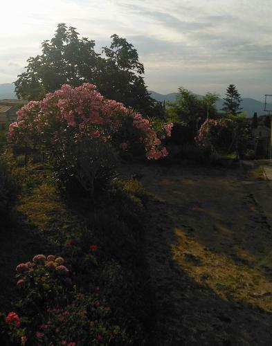 Apartamento Al Borgo Etrusco Con Vista Mare