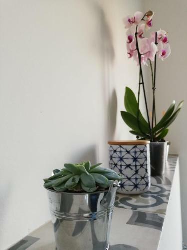 Apartamento Carso 10