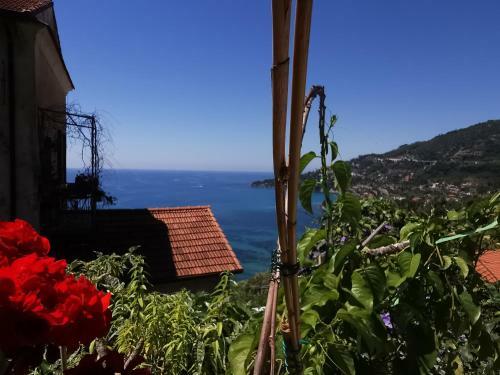 Hostal Romantic Casa Lorenzina Affittacamere