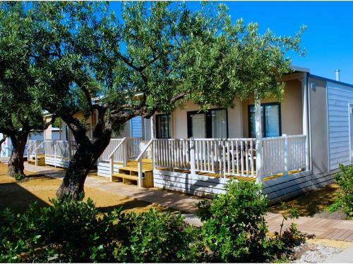 Apartamento Grotta Del Saraceno