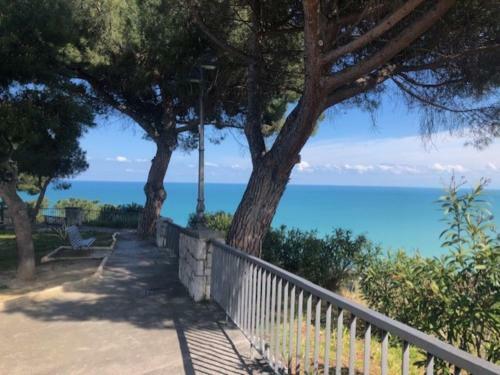 Mirador Vasto