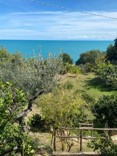 La Casetta Di Olga
