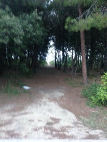 Apartamento Marina Di Vasto
