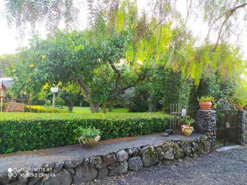 Hostal Casa Natura E Relax
