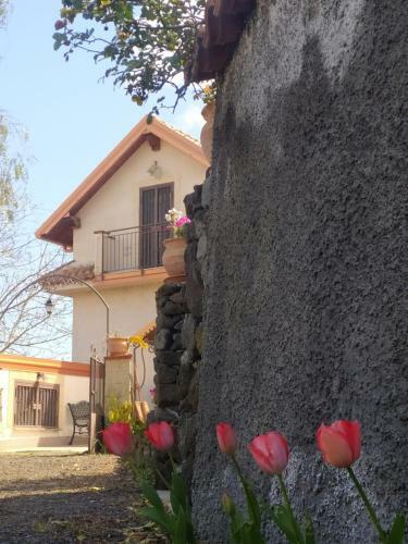Hostal Casa Natura E Relax