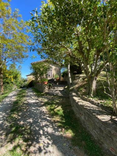 Agriturismo Attulaio