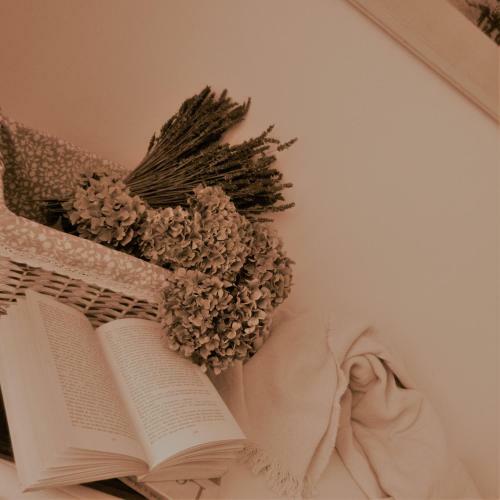 Le Bricolle
