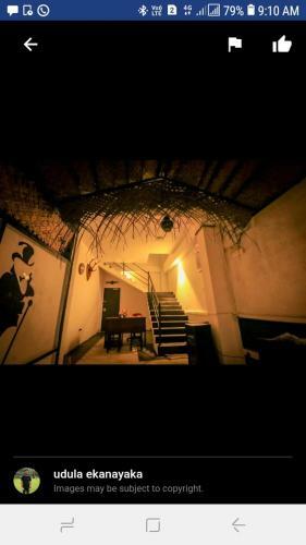 Hostal Triple Nine Guest
