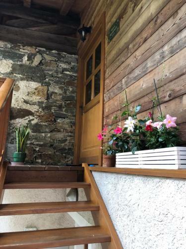 Bed & Breakfast Maso Zont