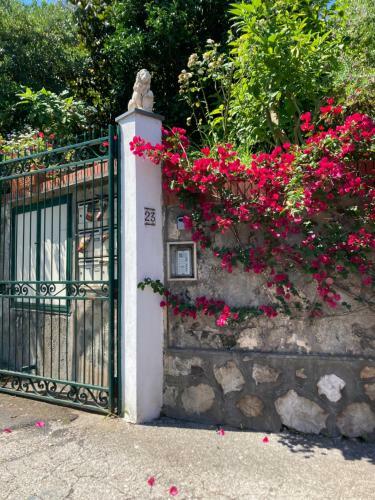 Apartamento La Terrazza