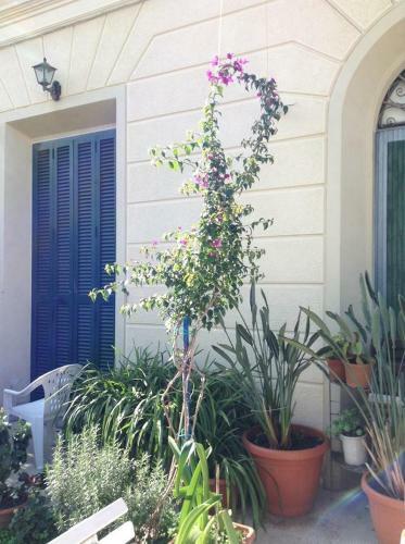Bed & Breakfast Casa Fornaciari Affittacamere