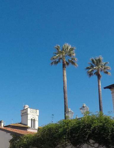Apartamento Torre Della Darsena