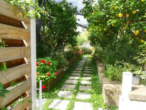 Bed & Breakfast Il Vialetto Dei Limoni