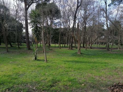 La Casina Giramondo Di Ele