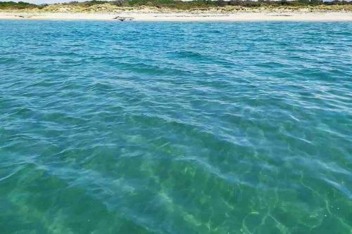 Apartamento Appartamento Nel Cuore Di Viareggio