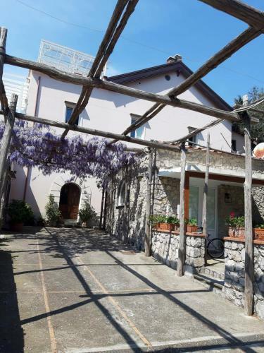Apartamento Shedir