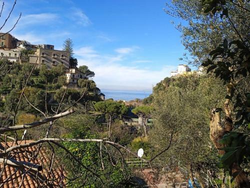 Apartamento La Casetta Di Asia