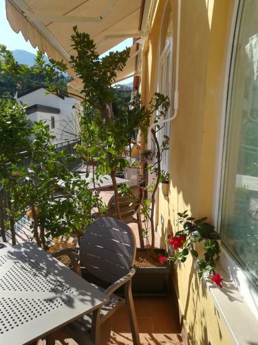 Bed & Breakfast Il Covo Delle Civette
