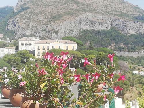 Apartamento Casa Fiore 2