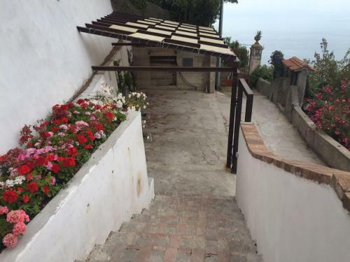 Casa Flora II B&B