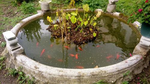 Bed & Breakfast L'antico Giardino