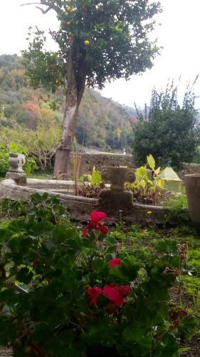 Bed & Breakfast L'antico Giardino
