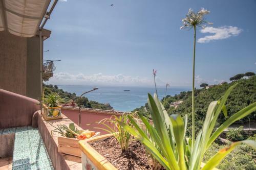 Apartamento Casa Di Zia Rosaria