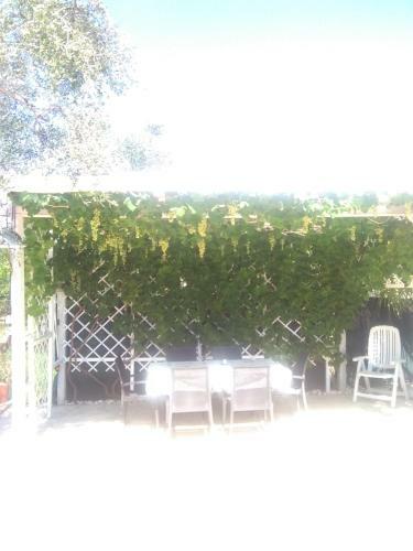 Apartamento Villa Oleandro Pergola