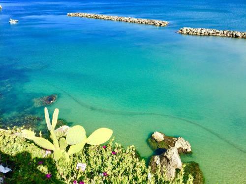 Apartamento Il Piccolo Tesoro Di Vieste