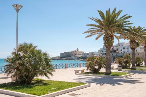 Vieste Mon Amour