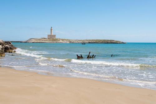 Vieste Mon Amour