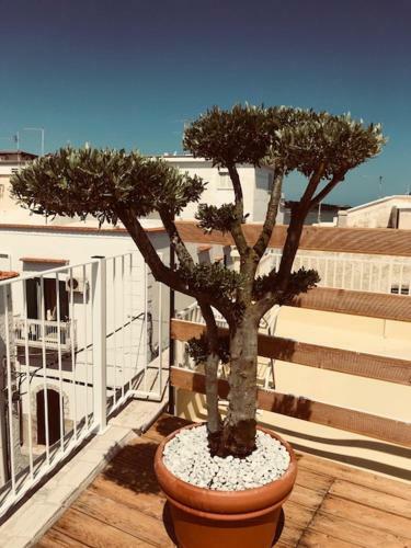 Apartamento La Casa Al Borgo