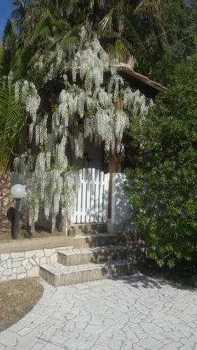 Apartamento Villa Tiar�