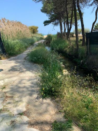 Hostal La Dimora In Riva Al Mare