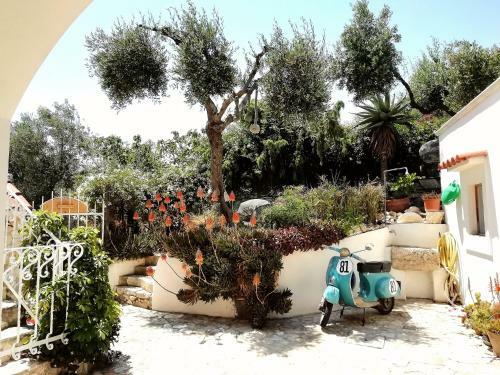 Bed & Breakfast L'altare Bianco