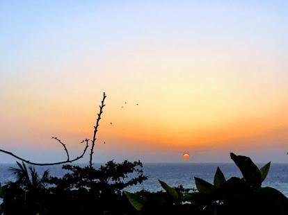 Eko Stay - Tropical Beach Apartments