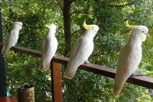 Yarrandabbi Dreaming Boutique B&B