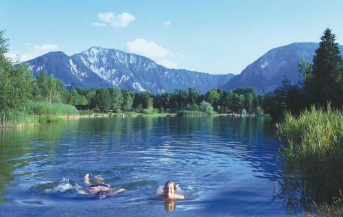 Hostal Gasthof Plasch