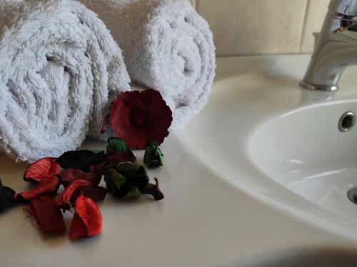 Hostal Corte Clocego