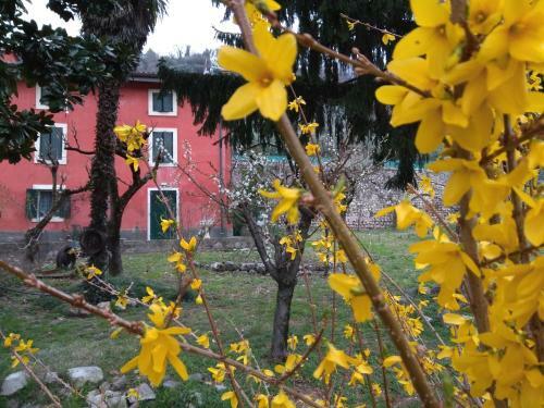 Hostal Corte Clocego