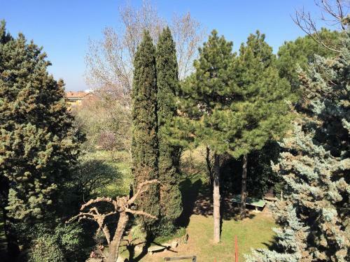 Apartamento Attico Con Terrazza Villa Marianna