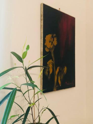 Apartamento Casa Violante