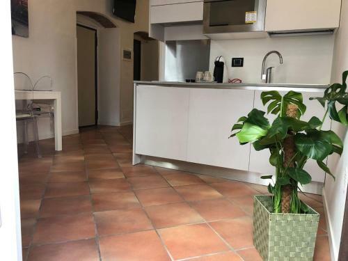 Apartamento Domus Paradiso