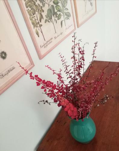 Apartamento B&B Pra' Longo