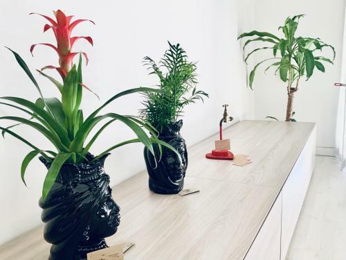 Apartamento Stadia Suite