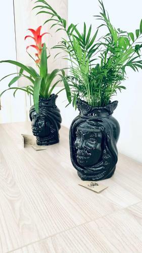 Apartamento Stadia Suite
