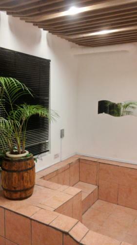 Palms??????????????????????96?? Bbq? P5???? Wii Wifi